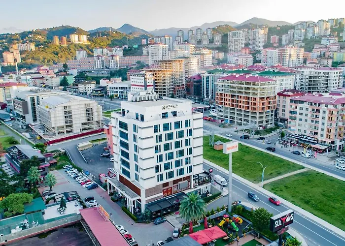 Aselia Hotel Trabzon