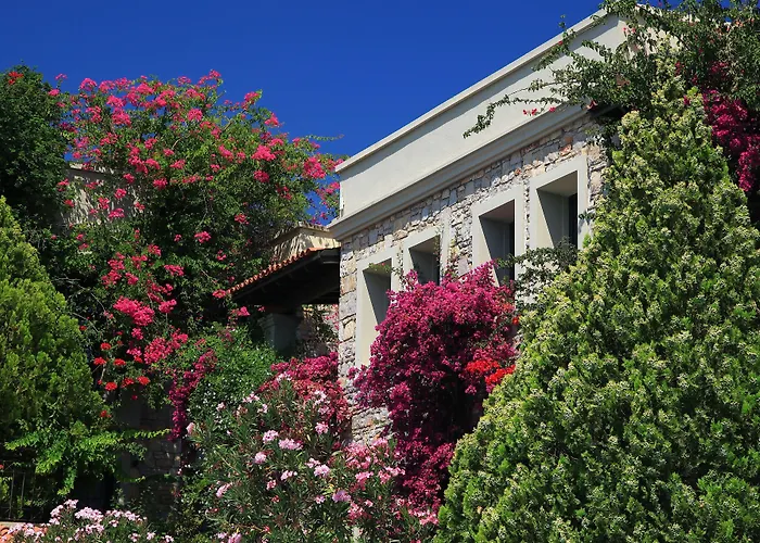 Zeytinada Hotel