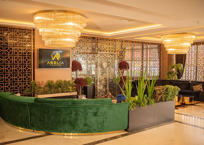 Aselia Hotel Trabzon