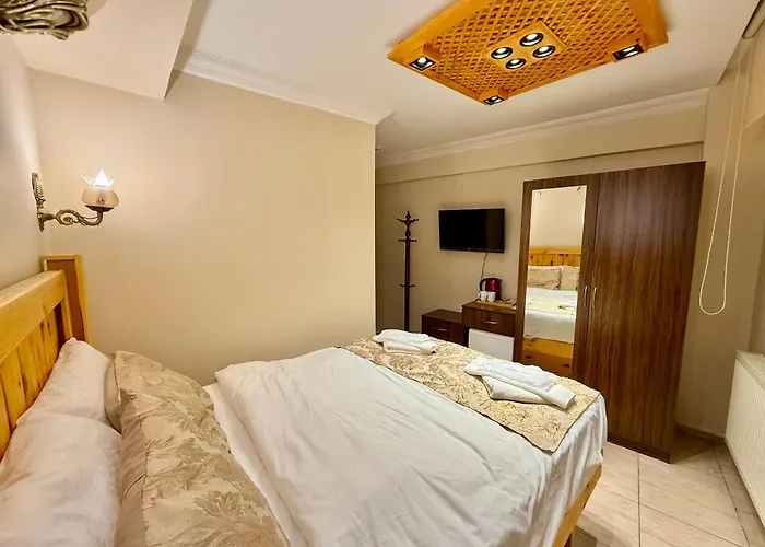 Magnificent Hotel