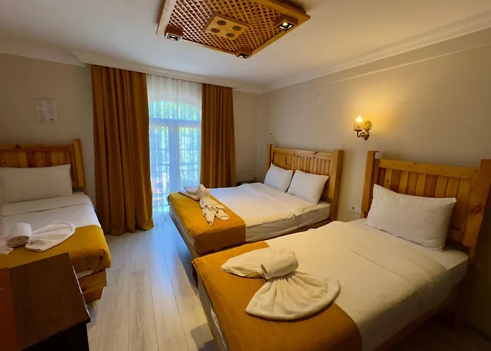 Magnificent Hotel