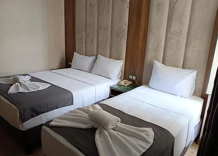 Hotel Buyuk Paris