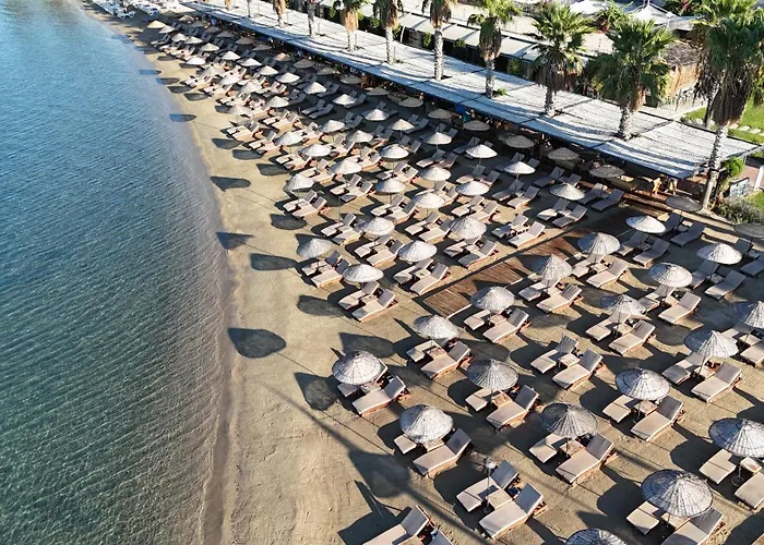Ambrosia Hotel Beach & Spa